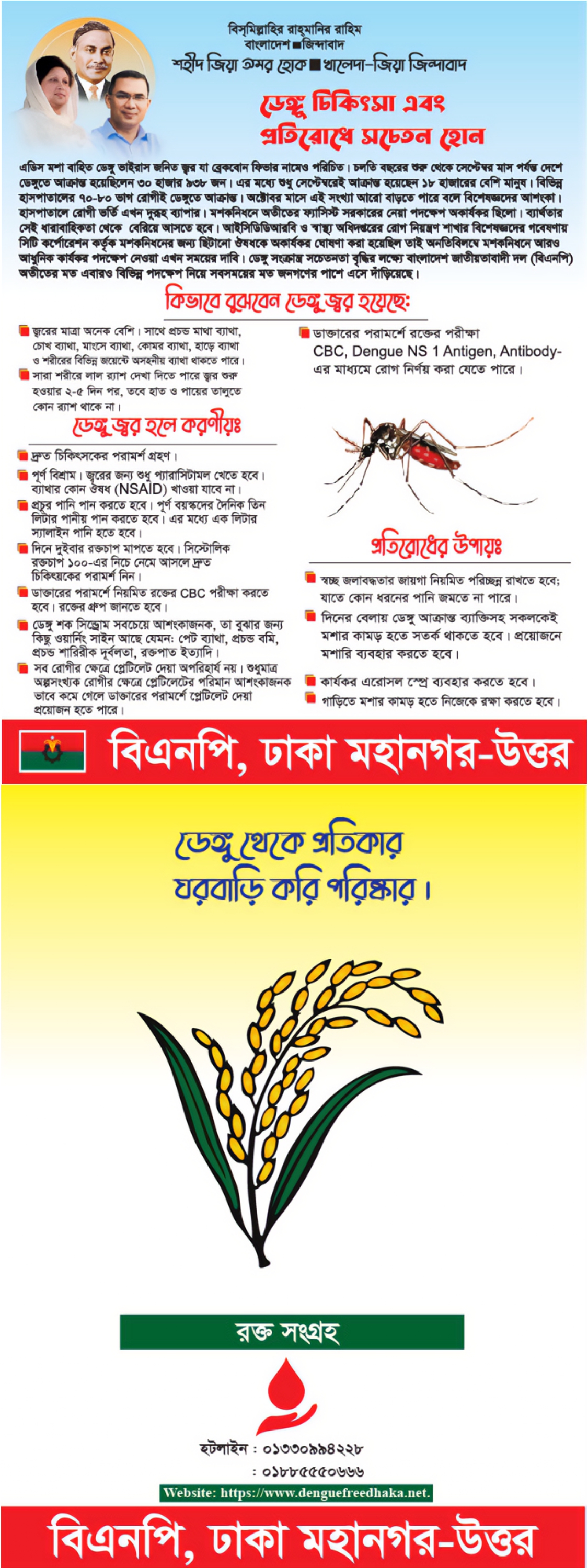 dengue awarness poster